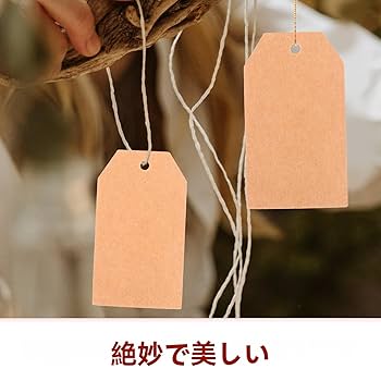 Amazon | Frcolor クラフトタグ 値札 200枚入り 手作り用 無地